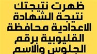 نتيجة الشهادة الاعدادية 2024 الترم الثاني محافظة القليوبية برقم الجلوس أو الاسم عبر بوابة الفجر وموقع وزارة التربية والتعليم